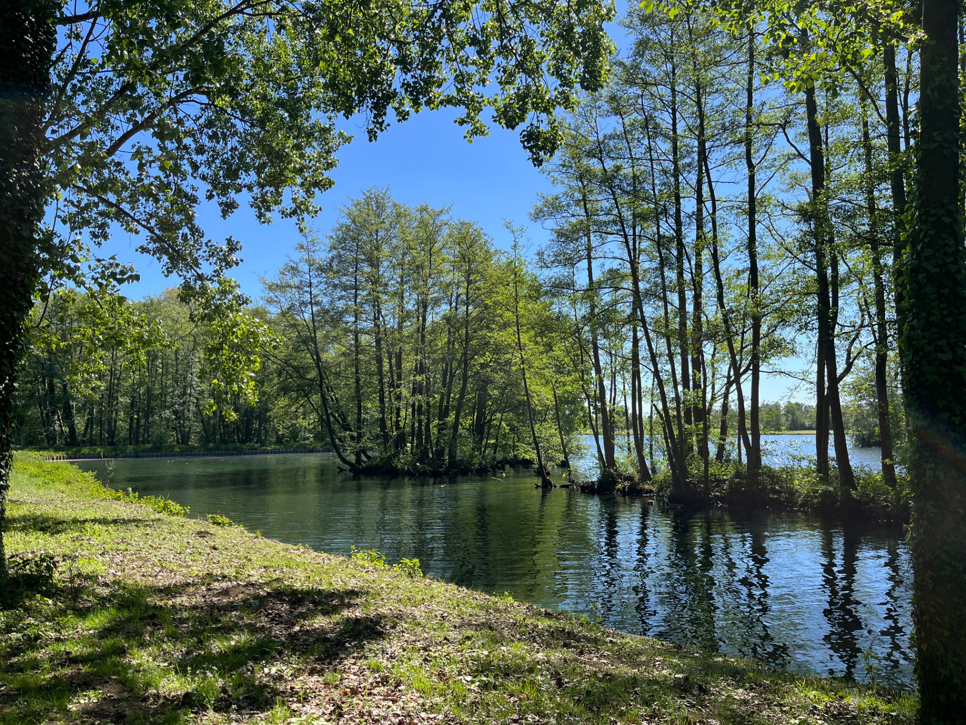De Paalse Plas in Beringen