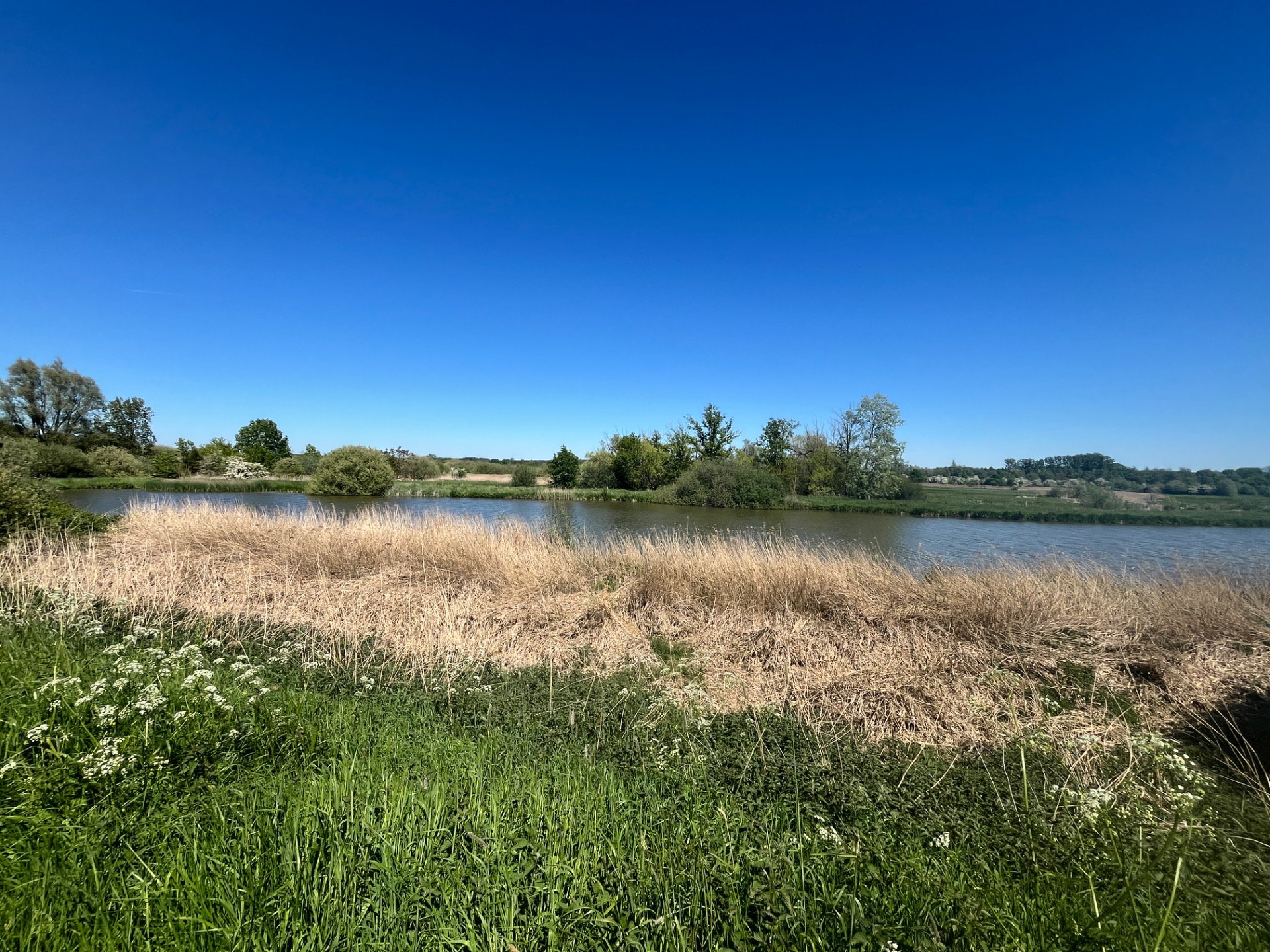 Het Webbekoms Broek in Diest