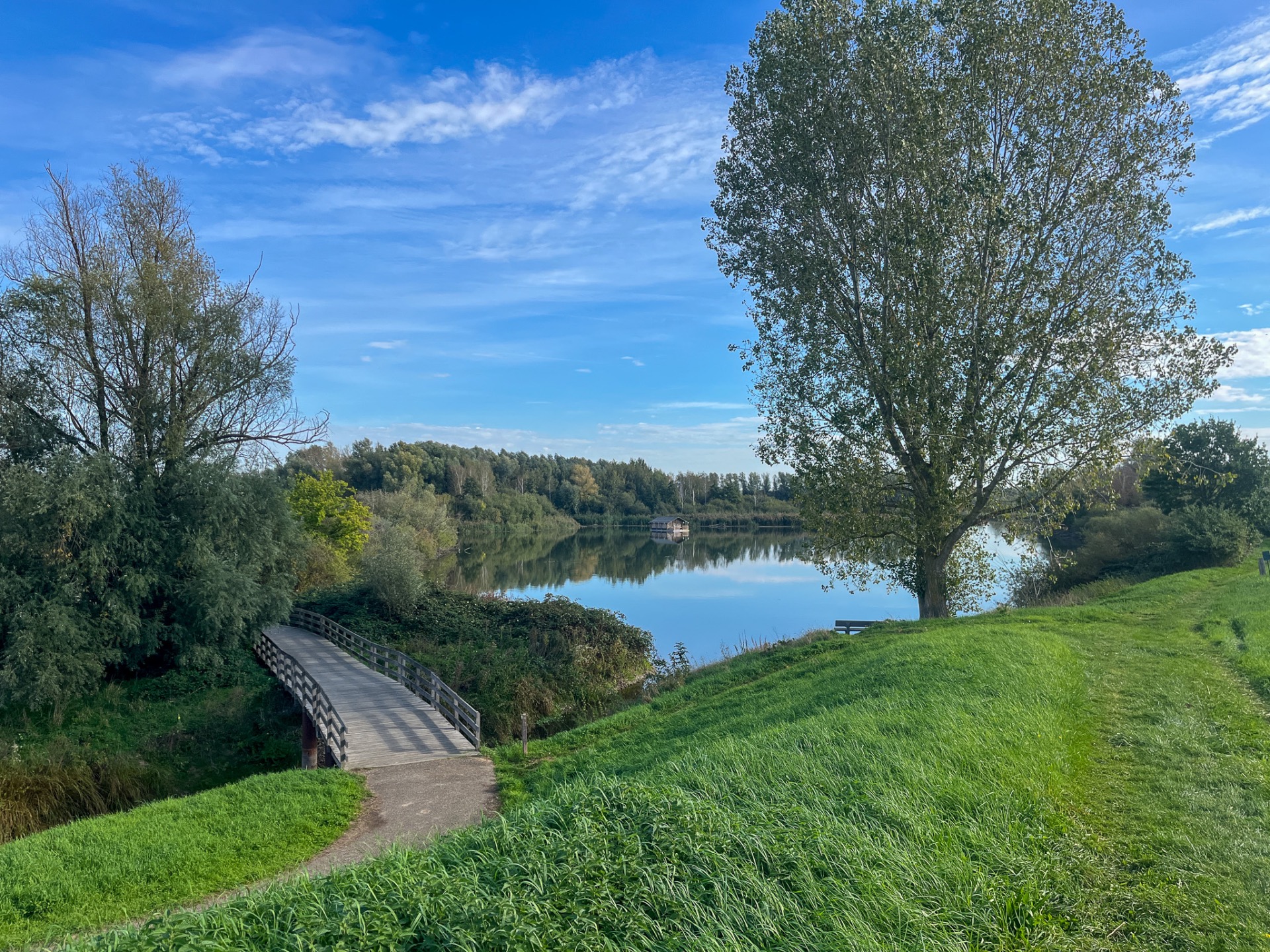 Natuurgebied Negenoord-Kerkeweerd