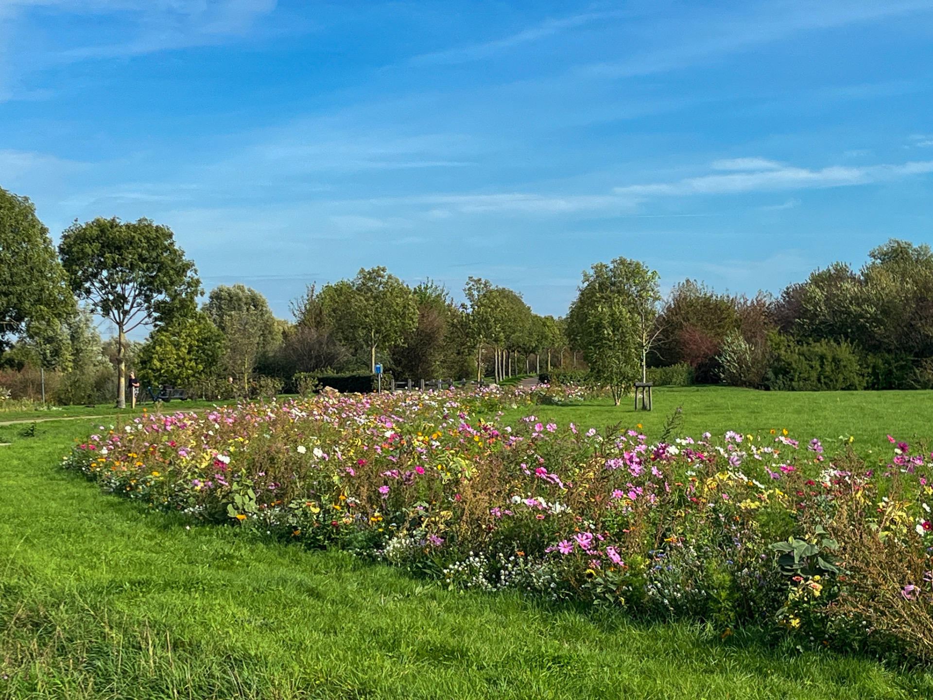 Recreatiegebied Heerenlaak in Aldeneik