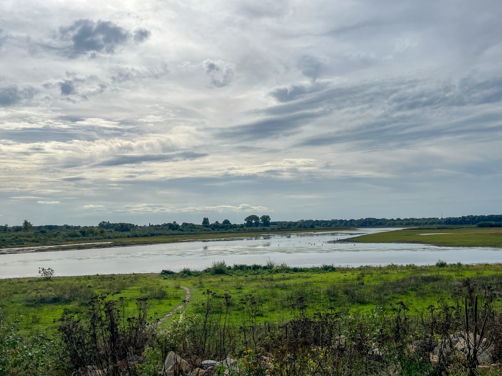De Maas in Herbricht